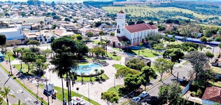 PM apreende muda de maconha em operação no Setor Norte de Araxá
