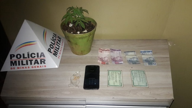 PM apreende muda de maconha em operação no Setor Norte de Araxá
