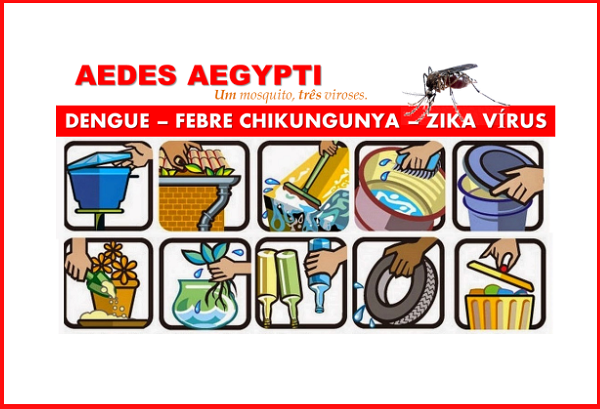 Minas Gerais suspende exigência do CRLV 2020 durante a pandemia