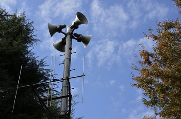 PM apreende muda de maconha em operação no Setor Norte de Araxá