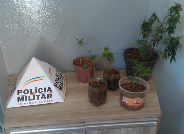 Proprietários de veículos registrados em Minas já podem imprimir o CRLV em casa