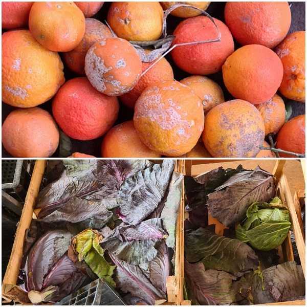 Entenda a divisão por ondas nas novas regras do Minas Consciente