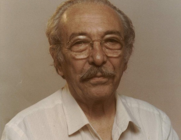 Conheça plantas fáceis de cultivar e que rendem ótimos chás