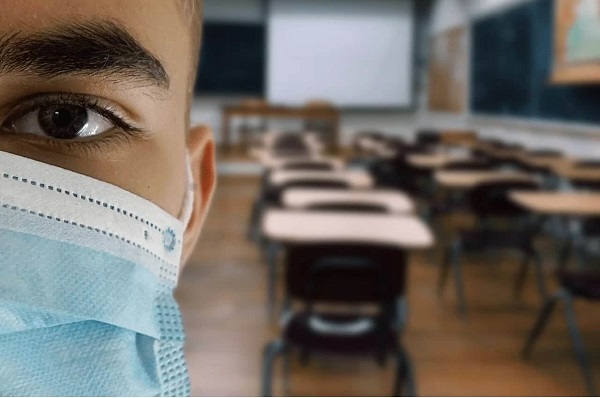 Safra mineira de café poderá ter produção recorde em 2020