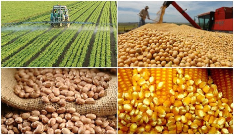 Faltam 24 dias: processo eleitoral acompanha a evolução tecnológica