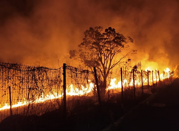 Começam campanhas de vacinação contra pólio e de multivacinação