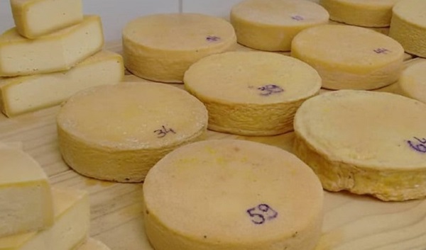 Conheça as medidas de segurança contra Covid-19 para o dia da votação