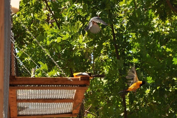 Projeto do governo vai impedir aumento expressivo das taxas estaduais