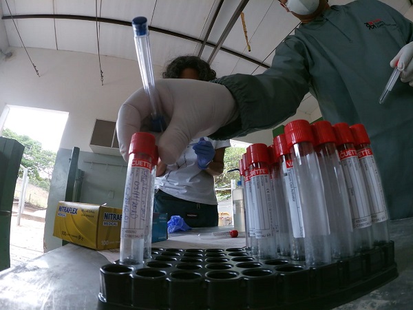 Instituto Nacional de Câncer estima mais de 65 mil novos casos de câncer de próstata no Brasil em 2020