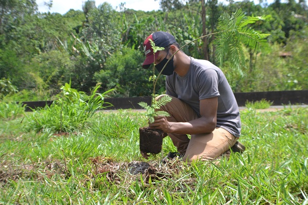 Satis participa de programa voltado à recuperação de nascentes na região de Araxá