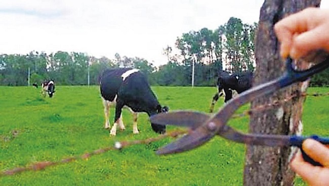 Satis participa de programa voltado à recuperação de nascentes na região de Araxá