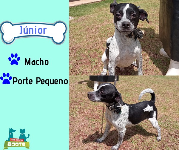 Romeu Zema se reúne com ministro da Saúde para discutir vacinação contra o coronavírus