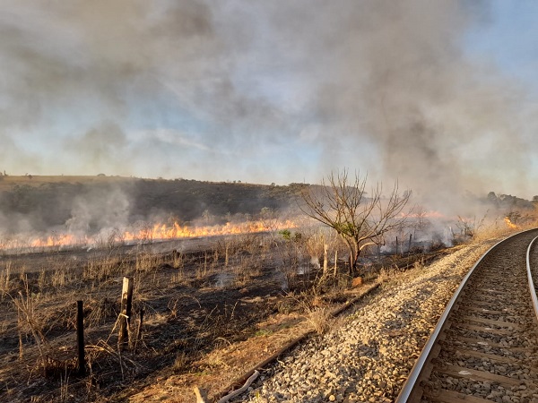 Hemominas convoca doadores de sangue O negativo