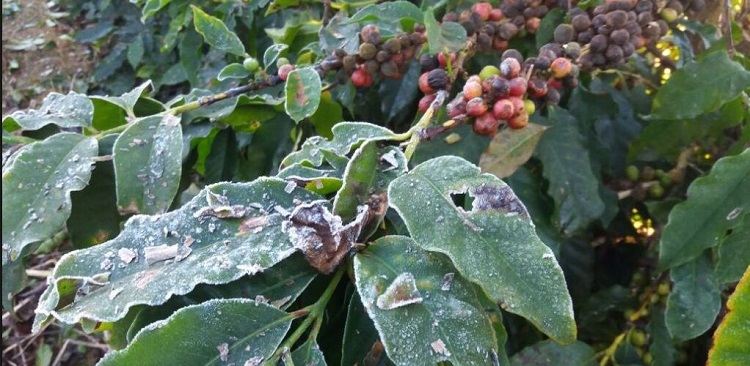 Fiscalização contra a Covid-19 multa festa que reuniu 90 pessoas