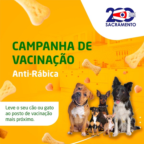 Curso sobre a Nova Lei de Licitações é aplicado para servidores da PMA