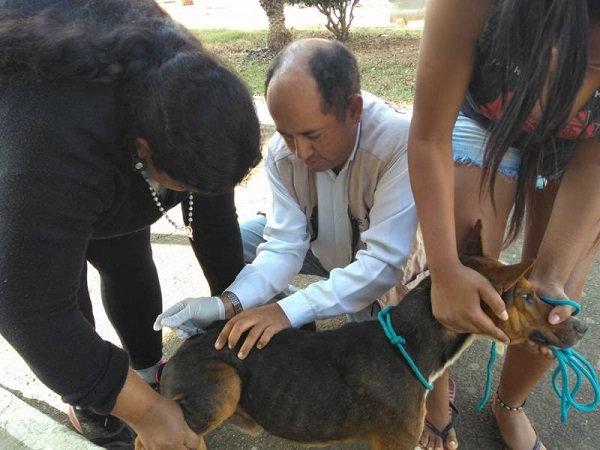 Aplicação da dose de reforço contra covid-19 começa ainda em setembro em Minas Gerais