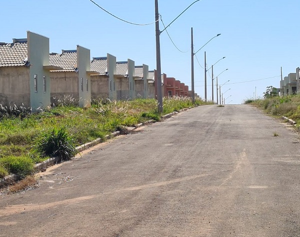 Governo detalha ações de apoio aos cafeicultores atingidos pelas geadas