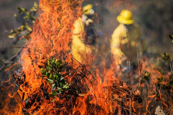 Web-rádio: Força-tarefa realiza fiscalização ostensiva para combate à incêndios florestais