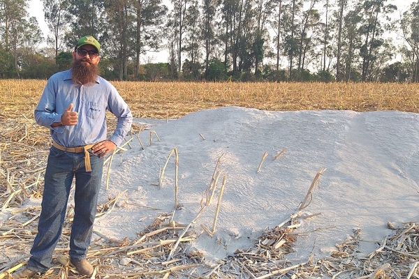 Web-Rádio: Começa vazio sanitário do algodão e do feijão em Minas Gerais
