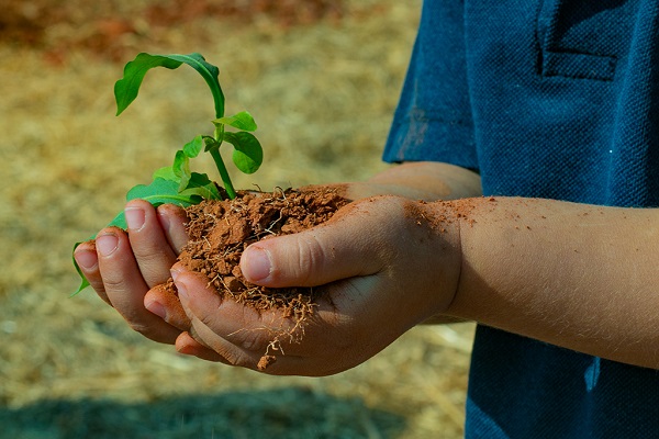 Exagerou no feriado? Nutricionistas da Unimed Araxá ensinam receitas de suco verde