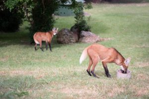 Conferência debate atualização do Plano Municipal de Educação em Araxá