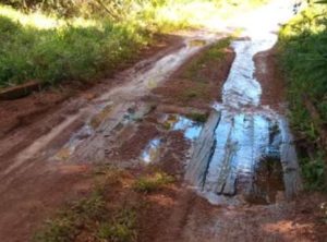 Minas Gerais deve bater recorde histórico nas exportações do agronegócio em 2021