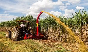 Minas Gerais deve bater recorde histórico nas exportações do agronegócio em 2021