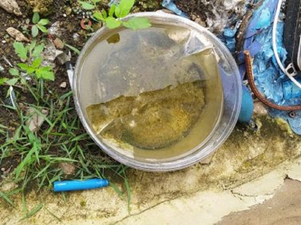 LIRAa indica médio risco de infestação do transmissor da dengue em Patos de Minas