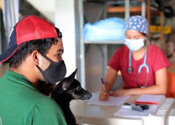 IPVA 2022 é lançado oficialmente pela Secretaria de Fazenda