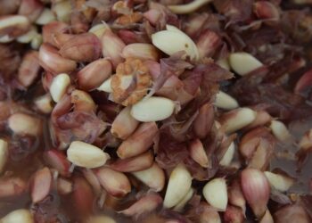 Câncer de mama: diagnóstico precoce aumenta chances de cura em mais de 90%