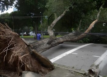 Beneficiários devem atualizar cadastro no Ipsemg