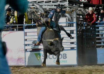 Fim de semana no ARS: 10 motivos para você não perder nada