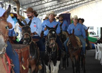 Cemig e Governo de Minas vão investir R$ 1,8 bilhão na modernização da rede elétrica rural