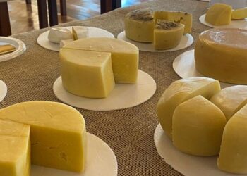 Governo de Minas tem programação especial na ExpoQueijo 2022, em Araxá