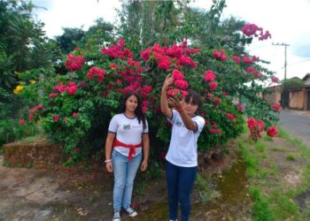 Alunos da Escola Professora Auxiliadora Paiva são finalistas do Concurso Cultural Restaura Natureza