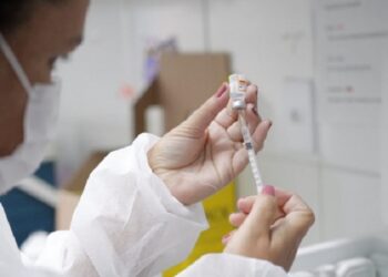 Web-rádio: Primeira etapa da imunização contra a febre aftosa em Minas termina na terça-feira