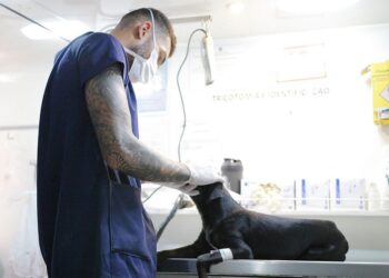 Web-rádio: Minas Gerais tem mais de 10 mil vagas de emprego disponíveis no Sine