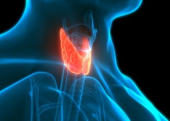 Web-rádio: Minas Gerais tem mais de 10 mil vagas de emprego disponíveis no Sine