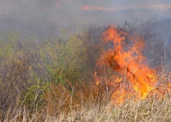 Ministério da Saúde lança campanha de incentivo à doação de sangue