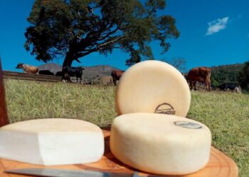 Realização da Copa Internacional de Mountain Bike 2022 tem apoio da PMA