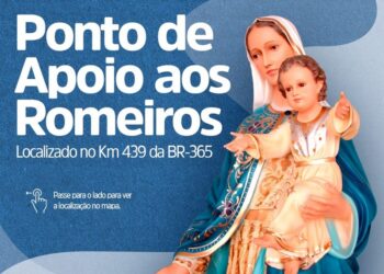 Bem Brasil mantém liderança nacional em vendas de batata pré-frita congelada