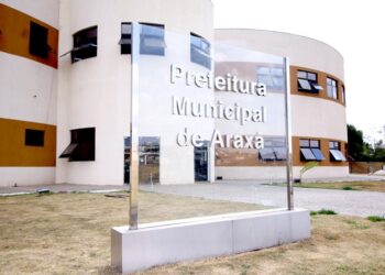 Bem Brasil mantém liderança nacional em vendas de batata pré-frita congelada