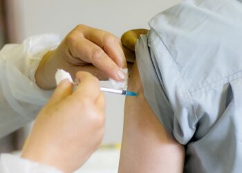 Bem Brasil mantém liderança nacional em vendas de batata pré-frita congelada