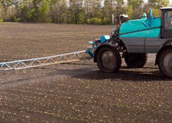 Associação de Amparo às Pessoas com Câncer de Araxá lança novo site institucional