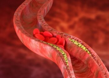 “É hora de regar as sementes”: workshop encerra projeto “A Música Semeando Conhecimentos”