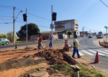 Bem Brasil mantém liderança nacional em vendas de batata pré-frita congelada