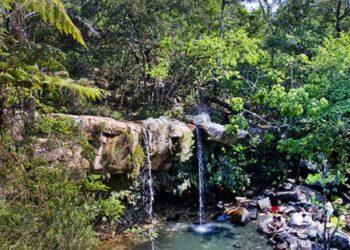 Minas é o segundo estado mais procurado por turistas; conheça os destinos favoritos