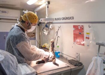 Começa o Mutirão de Castração em Araxá, que vai atender 1.700 animais