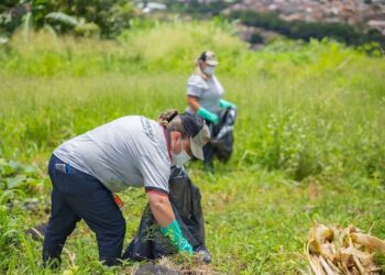 Cuidados permanentes contra Dengue devem ser tomados, alerta Vigilância em Araxá