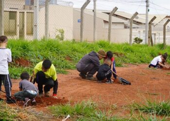 Bairro Jardim Dona Adélia 2 recebe plantio de 500 mudas nativas com participação de estudantes
